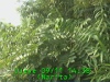 j0209111438.jpg