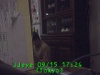 j0209151724.jpg