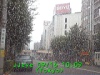 j0209161009.jpg