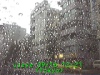 j0209161221.jpg
