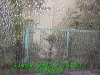 j0209161451.jpg