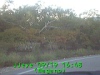 j0209191648.jpg