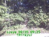 j0209200925.jpg