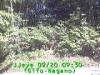 j0209200930.jpg