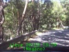 j0209201315.jpg