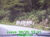 j0209201341.jpg