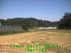 j0209250914.jpg