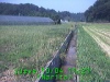 j0210041121.jpg