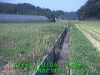 j0210041139.jpg