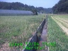 j0210041142.jpg