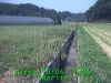 j0210041154.jpg