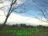j0210071446.jpg