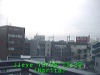 j0210081320.jpg