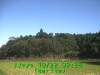 j0210220928.jpg