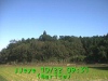 j0210220931.jpg
