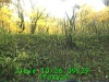 j0210260929.jpg