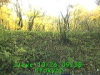 j0210260938.jpg