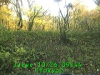 j0210260944.jpg