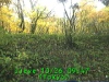 j0210260947.jpg