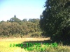 j0210301000.jpg