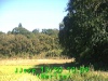 j0210301009.jpg