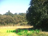 j0210301012.jpg