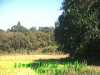 j0210301016.jpg