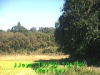 j0210301019.jpg