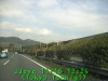 j0211161224.jpg