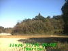 j0211280908.jpg