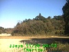 j0211280913.jpg