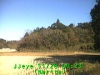 j0211280923.jpg