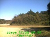 j0211280933.jpg