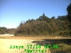 j0211280938.jpg