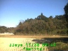 j0211280943.jpg