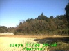 j0211280948.jpg