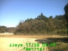 j0211280953.jpg