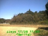 j0211281103.jpg