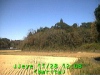 j0211281208.jpg
