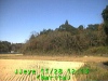 j0211281213.jpg