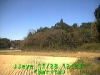 j0211281223.jpg