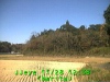 j0211281238.jpg