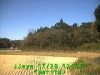 j0211281243.jpg