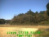 j0211281248.jpg