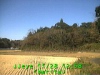 j0211281258.jpg