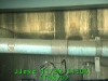 j0211291104.jpg