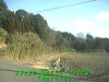0302141420.jpg