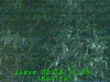0302181735.jpg