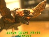 0302212311.jpg