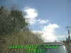 0302271242.jpg
